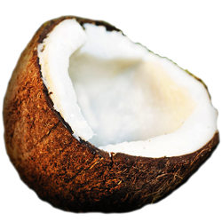 NucÄƒ de cocos